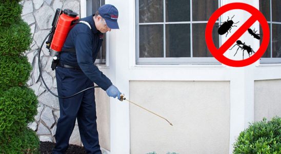 Zeytinalanı Böcek ve Haşere İlaçlama böcek ilaçlama ve haşere kontrolü — ilaclama-tr.com